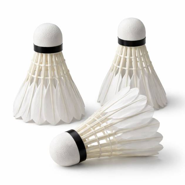 Shuttlecocks